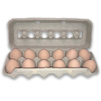 12-Egg Jumbo Blank Pulp