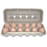 12-Egg Jumbo Blank Pulp