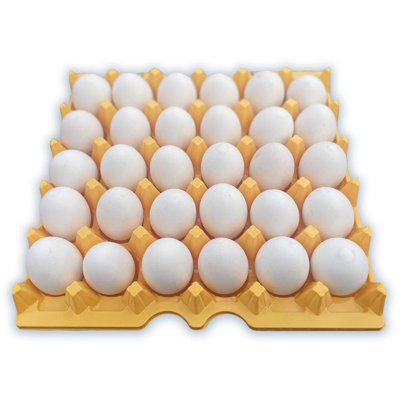 Egg Tray Filler Flat 30 cell plastic, yellow washable, stackable, unprinted egg tray