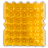 yellow top view of yellow plastic 30 cell egg tray