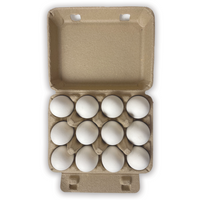 Full egg carton with 12 eggs, unprinted, natural pulp, paper, 3x4 cells