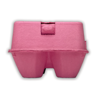 4-Egg Hot Pink