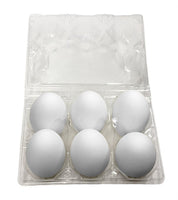 Duck Egg Carton  Plastic 6-Egg Un-Labeled –