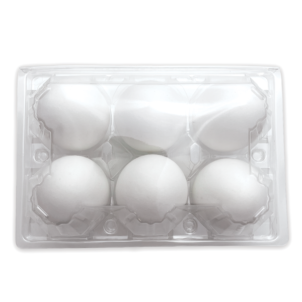 Duck Egg Carton  Plastic 6-Egg Un-Labeled –