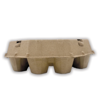 Pulp Hexagon Egg Carton