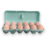 Styrofoam Egg Cartons