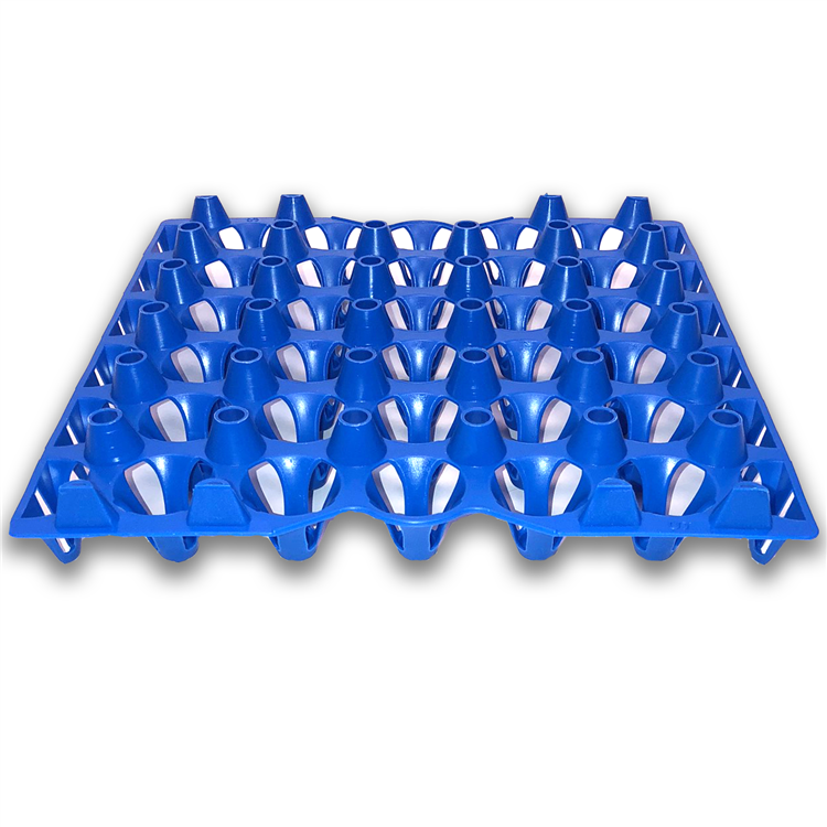 Egg Tray Filler Flat side view of 30-cell washable tray