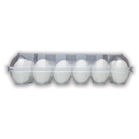 Plastic Egg Cartons - Holds 12 Eggs, Wholesale, Unlabeled, Blank 