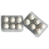 Plastic 6-Egg Unlabeled Egg Carton 