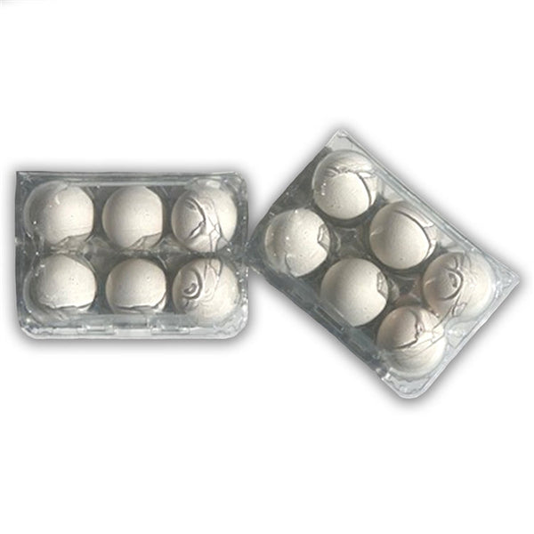 Plastic 6-Egg Unlabeled Egg Carton 1