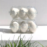 lifestyle image - white background with grass, Plastic 6-Egg Unlabeled Egg Carton 