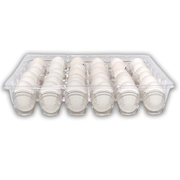 Clear plastic 36 cell egg tray