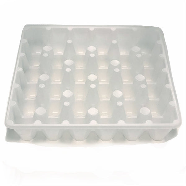 36-Egg White