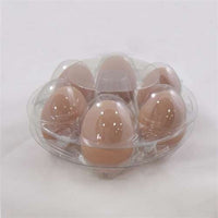 6-Egg Starpack