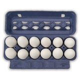 One Dozen Navy Blue Open-View Egg Cartons - In bulk, blank