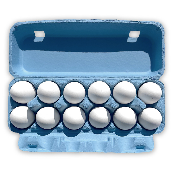 Baby Blue Egg Carton, Pulp 12-Egg Blank –