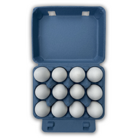 12-Egg Blue Vintage