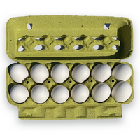Open View Egg Cartons - Lime Pulp, Blank, Wholesale, Bulk Pricing