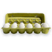 Lime Open View Egg Cartons - Holds 12 Eggs, Blank,
