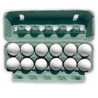 12-Egg Teal
