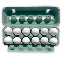 12 Egg Cartons - Teal colored, Blank Pulp