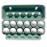 12-Egg Teal