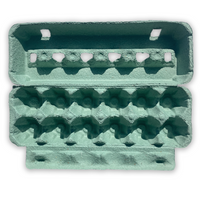 12-Egg Teal
