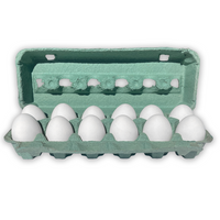 12-Egg Teal
