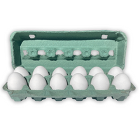 Teal Cartons for Eggs - Wholesale 