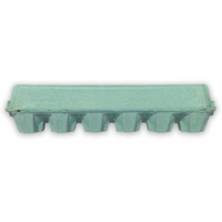 12-Egg Teal