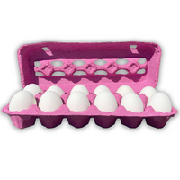 12-Egg Pink