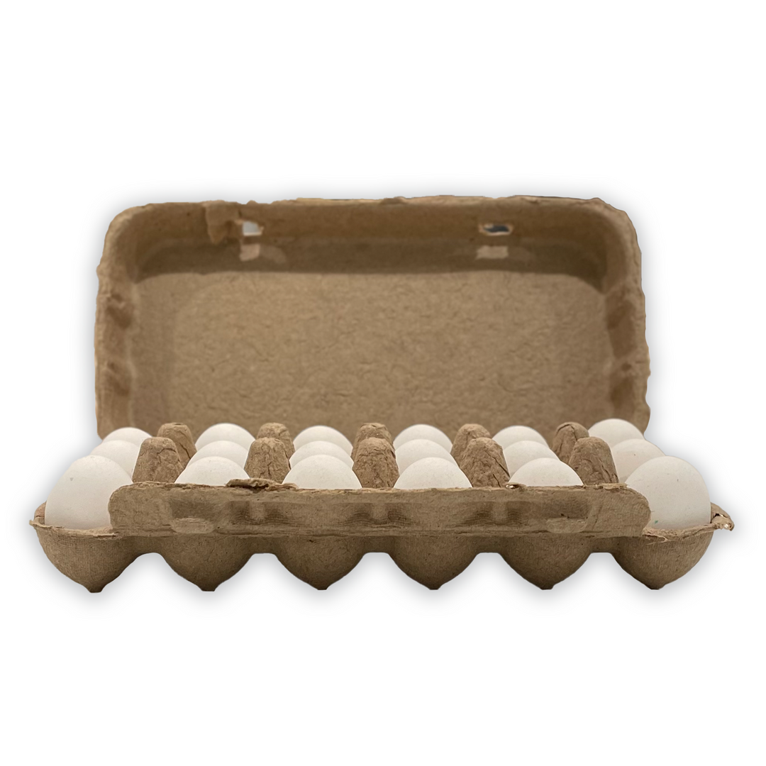 Quail 18-Egg Pulp Egg Carton, Blank 3510