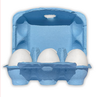 open view of baby blue egg carton flat top - holds half a dozen eggs