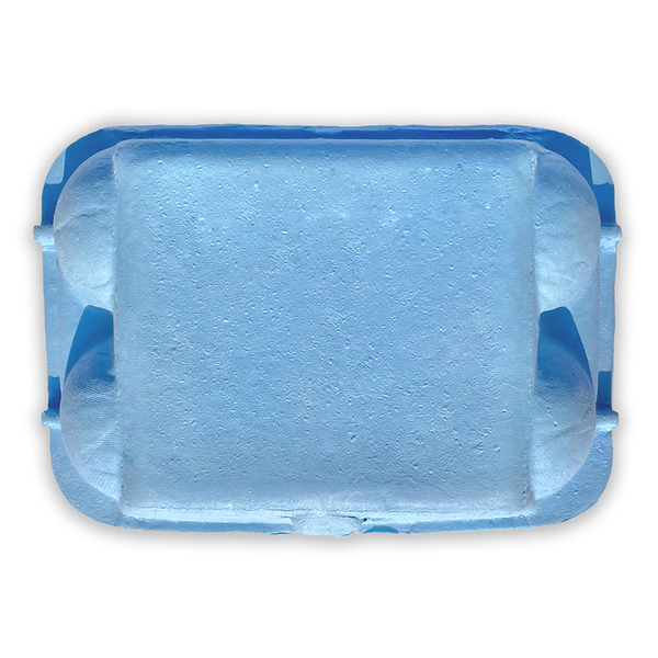 baby blue egg carton - 6 egg 