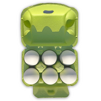 top open view with eggs, 6-egg lime carton