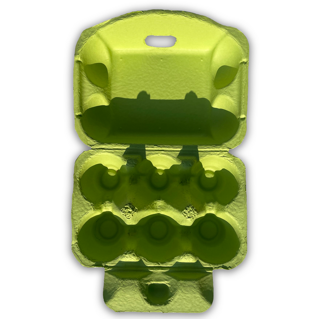 egg carton tackle box 6-Egg Carton Lime