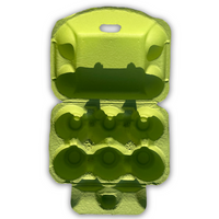 empty top open view egg cartons, pulp, lime pulp