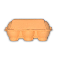 6-Egg Orange