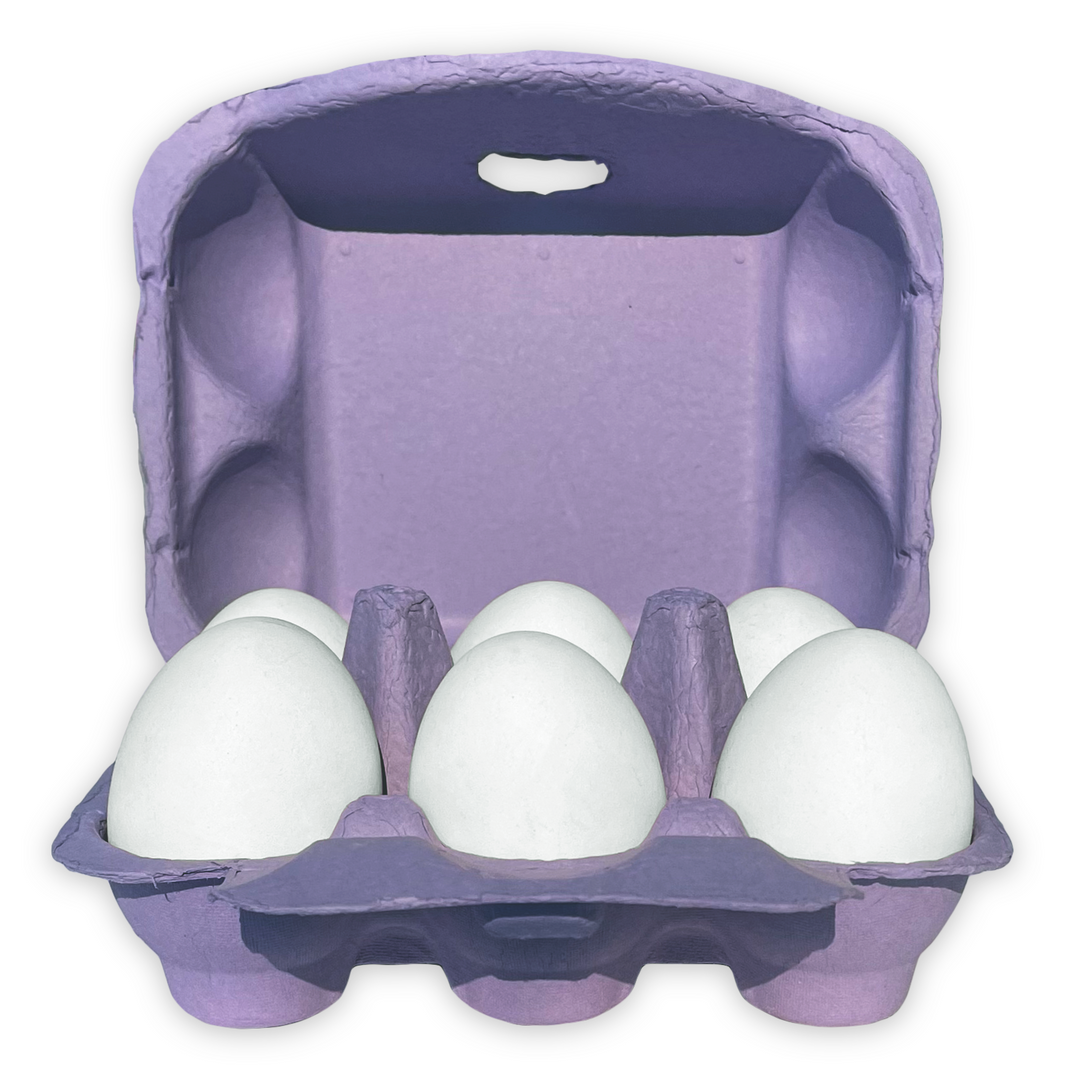 Pulp 6-Egg Blank Purple Egg Carton